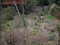 =Garten auf dem Grundst&uuml;ck