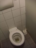 f&uuml;r western-style Toilette